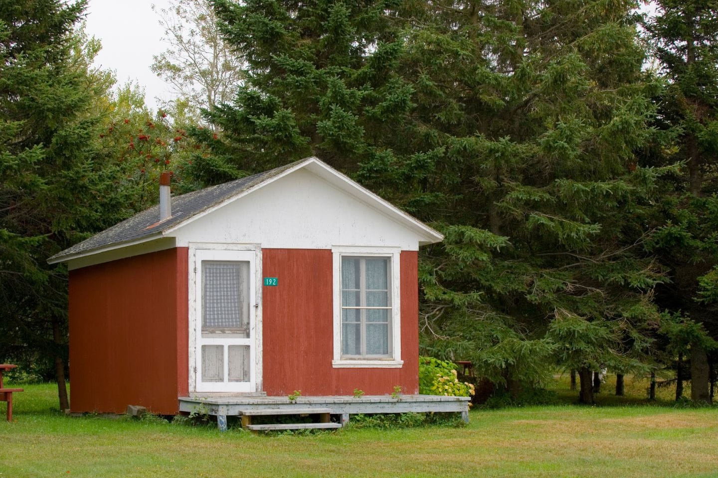 Small red and white cabin with a porch, situated in a grassy area surrounded by tall pine trees, perfect as an ADU for secondary housing.